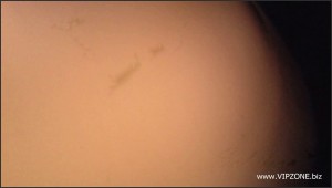 XO109