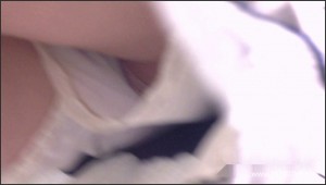 XO119