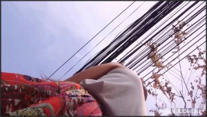 XO156