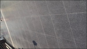 SS31