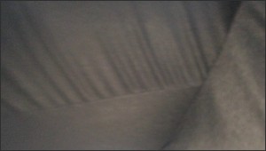 STD24