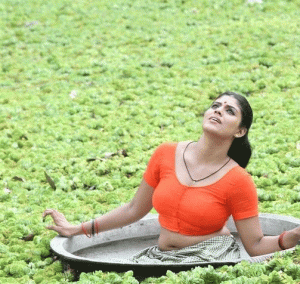 actress-iniya-latest-hot-photostills-pictures-08_s_690.gif