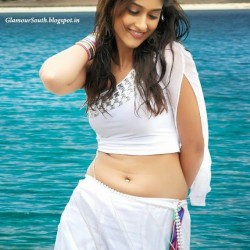 Hot-and-Cute-HD-Wallpapers-For-Mobiles-And-PC-Ileana-Dcruz