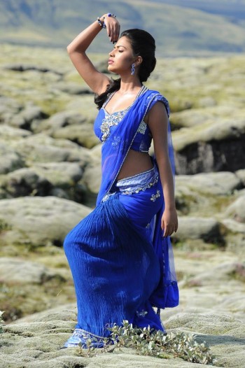 Amala-Paul-Sexy-Pictures-in-Saree.jpg
