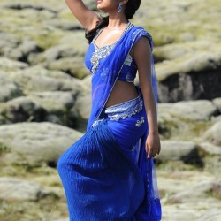 Amala-Paul-Sexy-Pictures-in-Saree