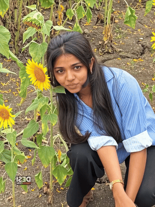 scraped_img_1785256012193.gif