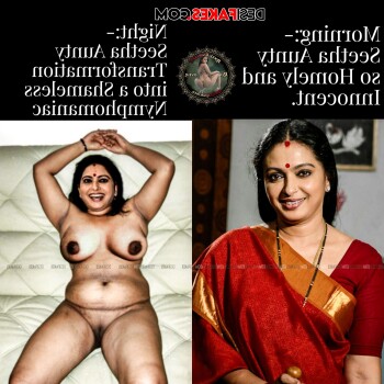 seetha aunty meme 353019